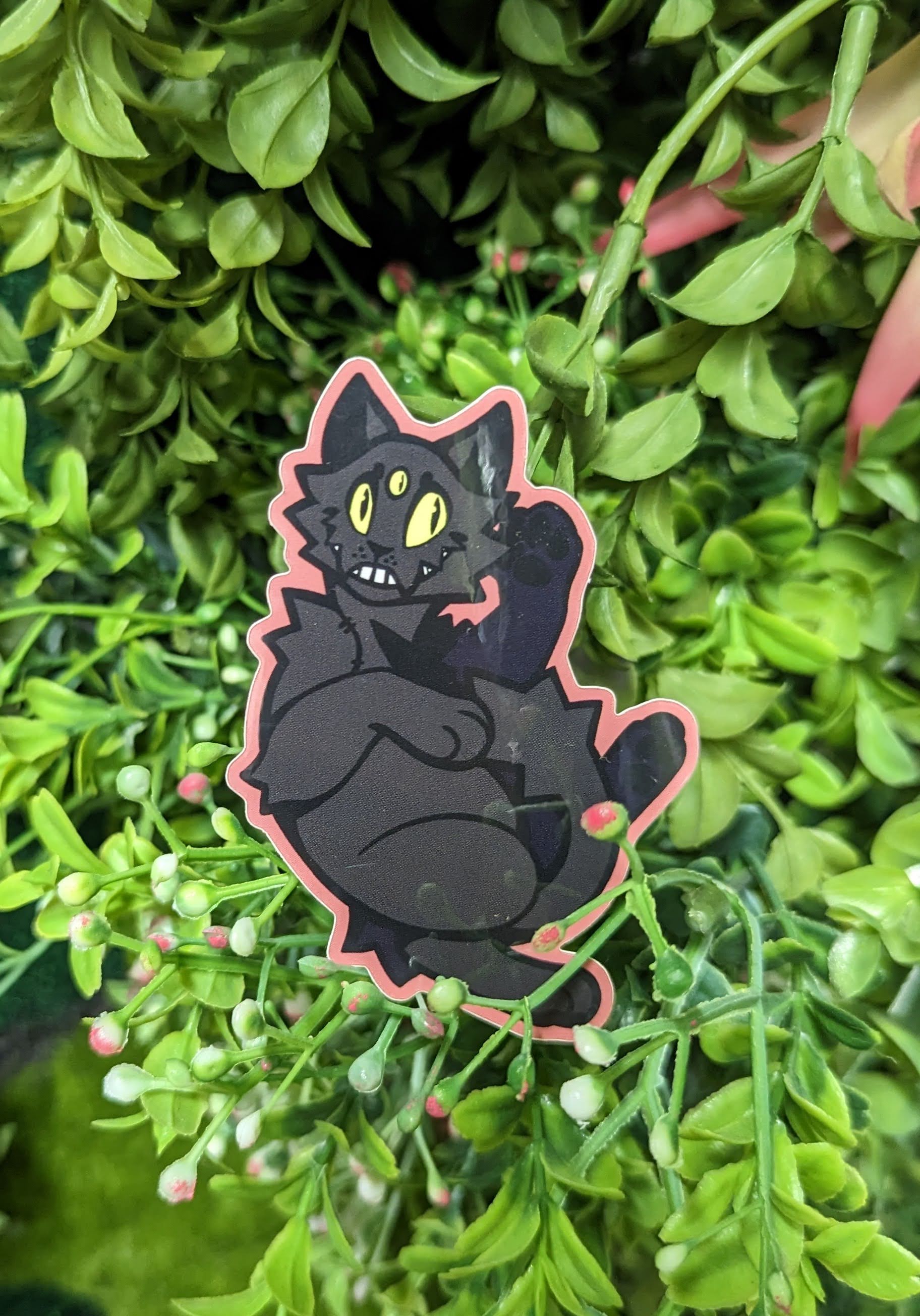 Pin on Angry Cats